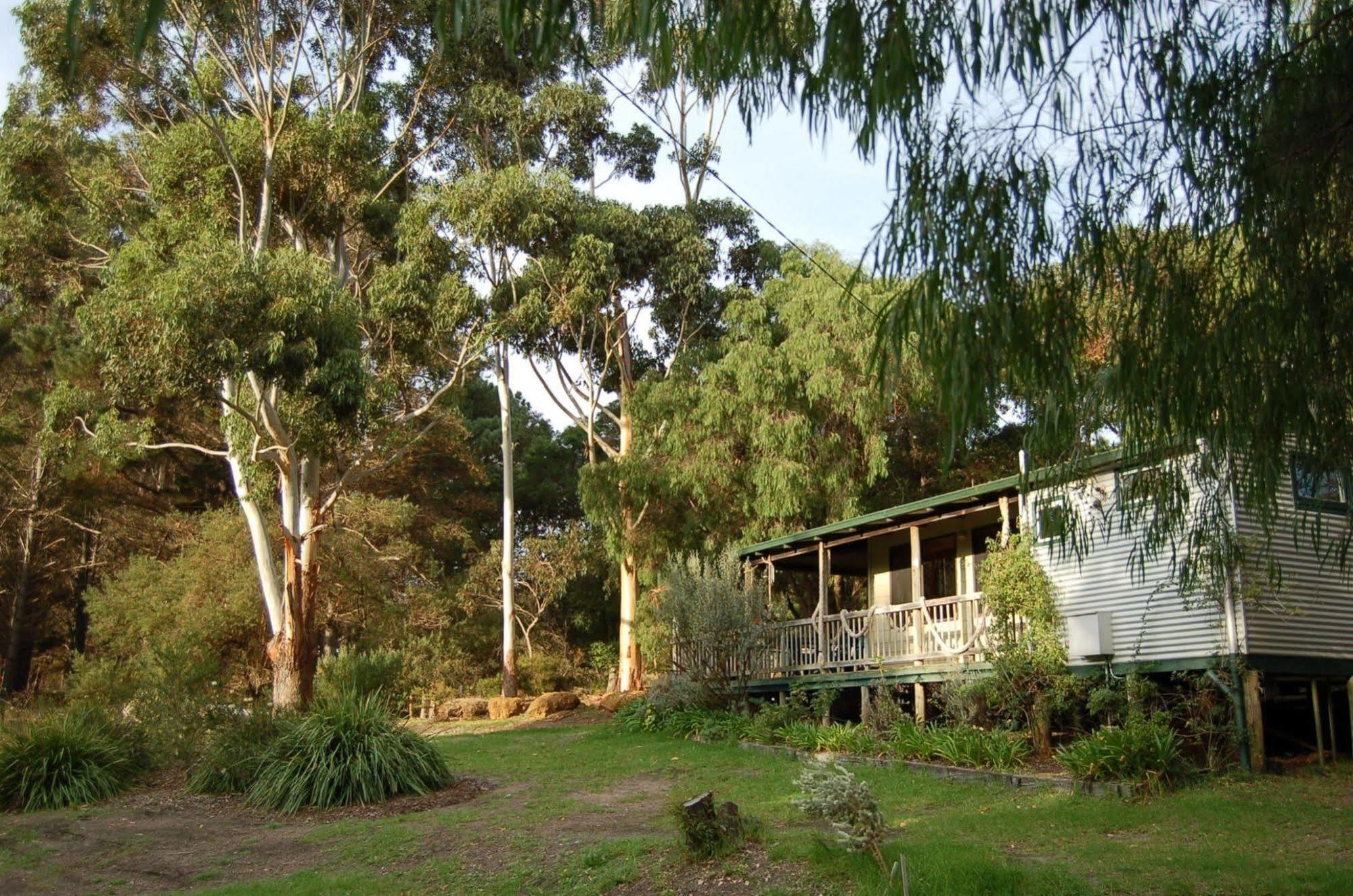 Cape Howe Cottages Lowlands Buitenkant foto